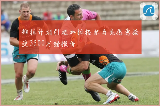 维拉计划引进加拉格尔马竞愿意接受3500万镑报价
